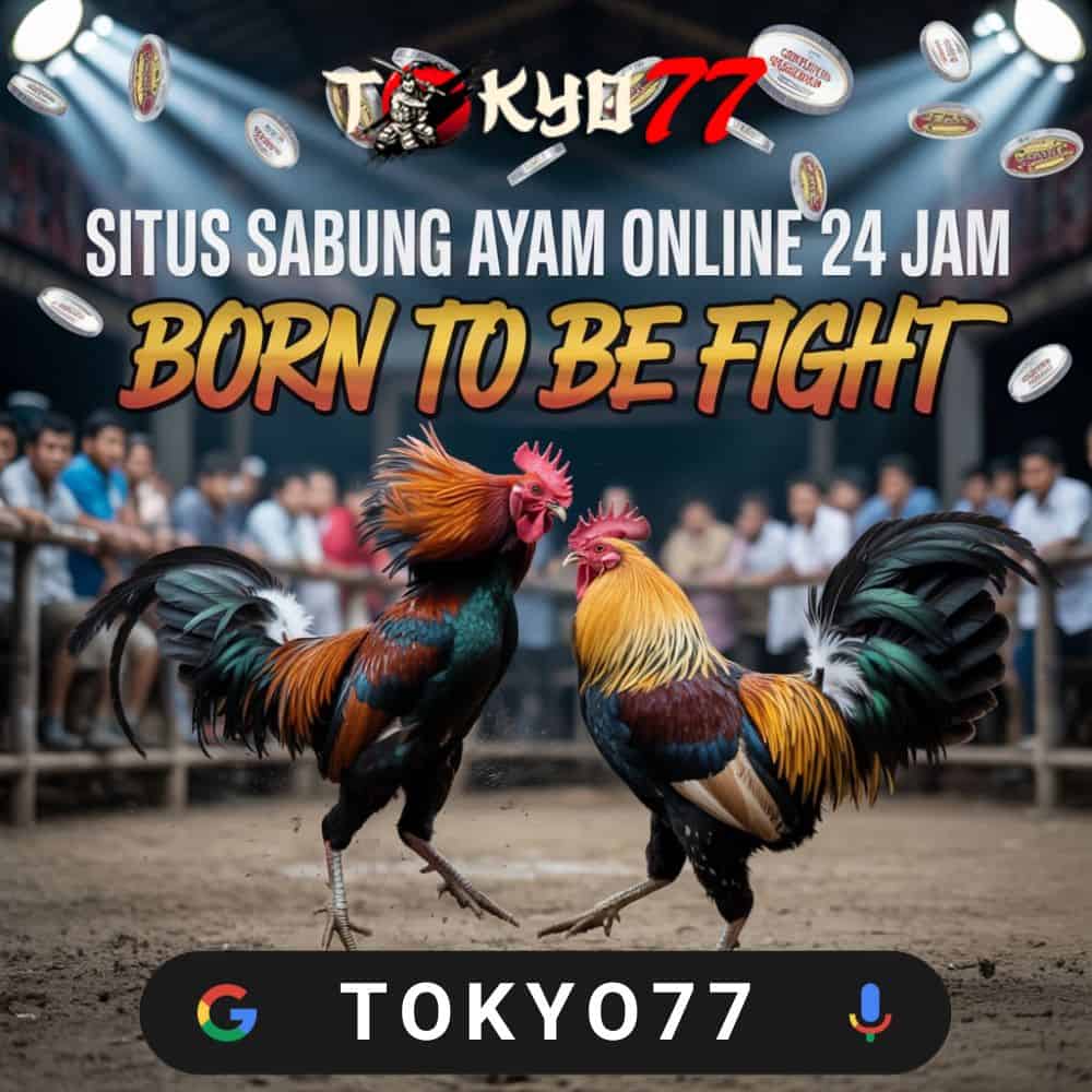 How Togel Became One of the Most Talked-About Online Games